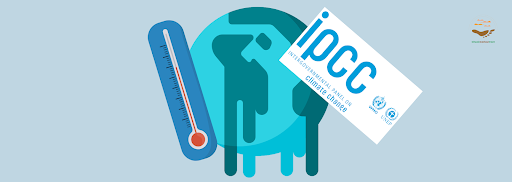 Understanding the Role and Impact of the Intergovernmental Panel on Climate Change (IPCC)